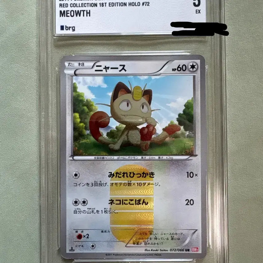 [BUNJANG] Pokemon Card Nyaong BW UR Japanese / 포켓몬카드 냐옹 bw ur 일판
