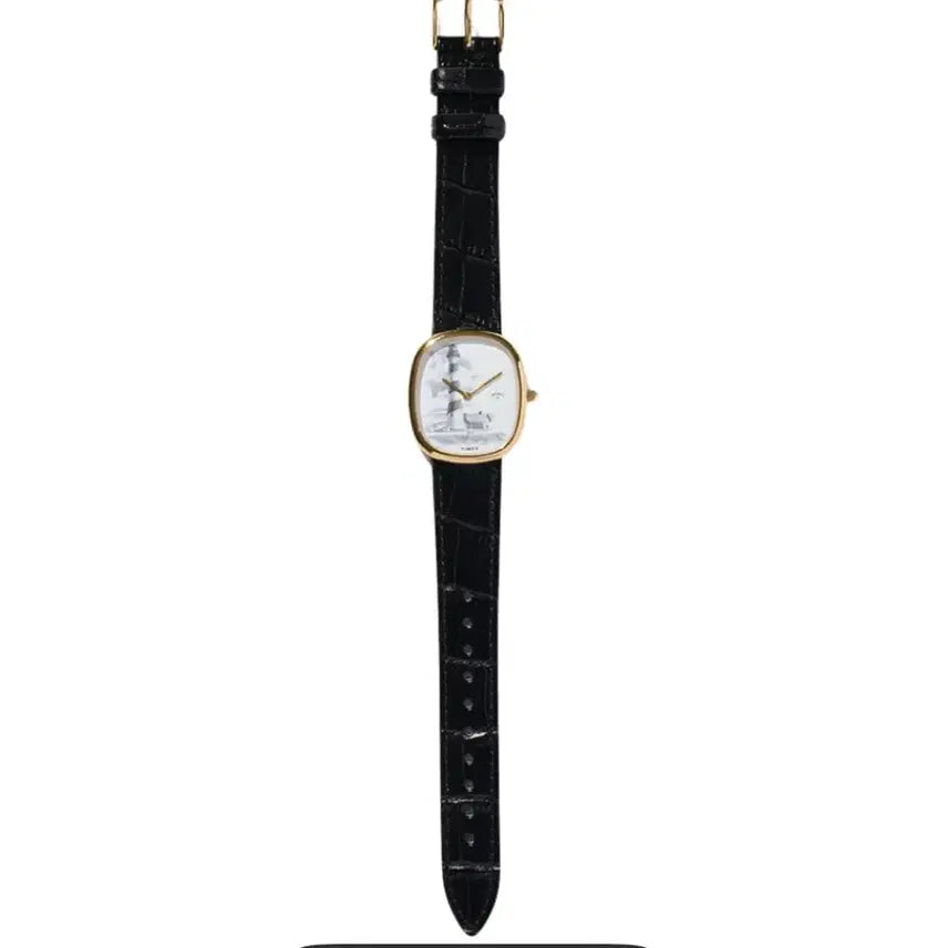[BUNJANG] Timex Lighthouse Watch / 노아 타이맥스 라이트하우스 시계