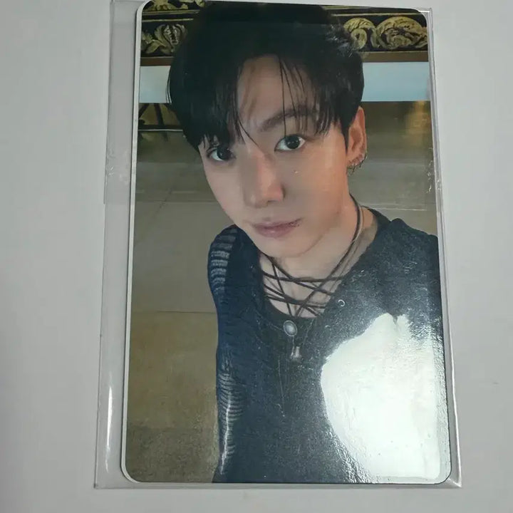[BUNJANG] Jungkook Arirang Cat Album Lucky Draw Photocard / bts 방탄소년단 jungkook 정국 아리랑 고양 앨범 럭드 포카