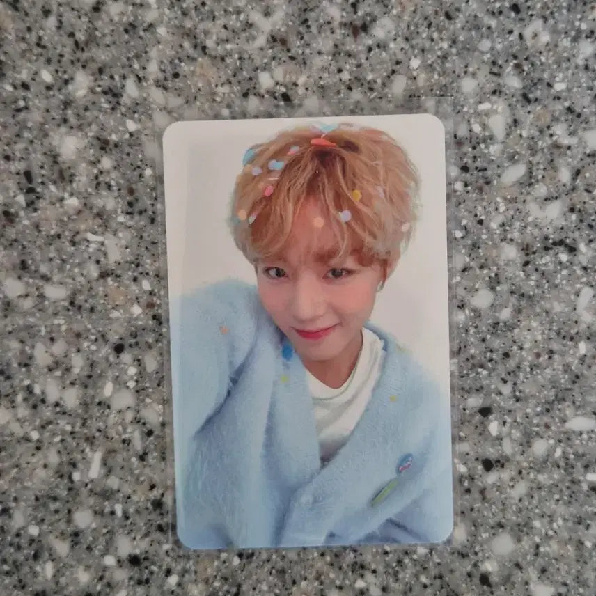 [BUNJANG] Park Ji Hoon 2025 Birthday MD Photocard / 박지훈 2025 생일 md 포카 판매