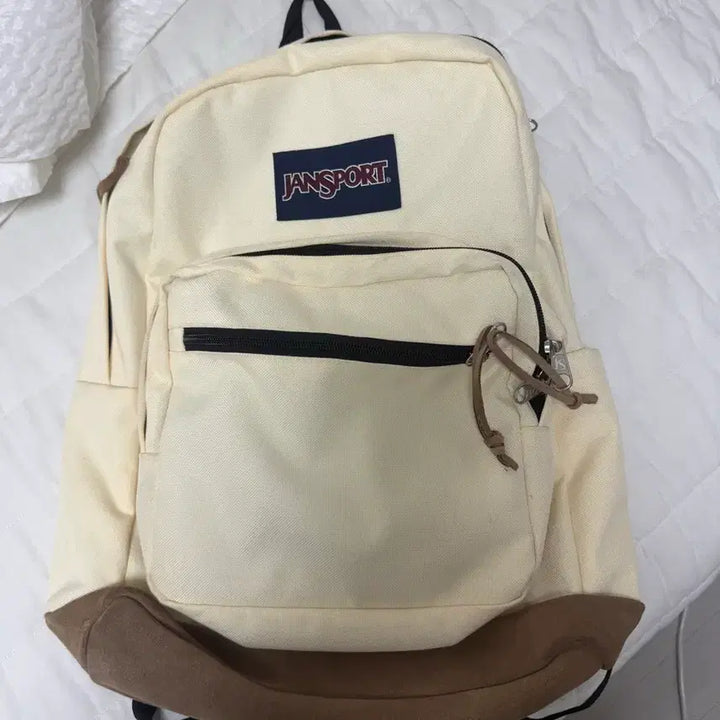 [BUNJANG] JanSport Backpack / 잔스포츠 백팩