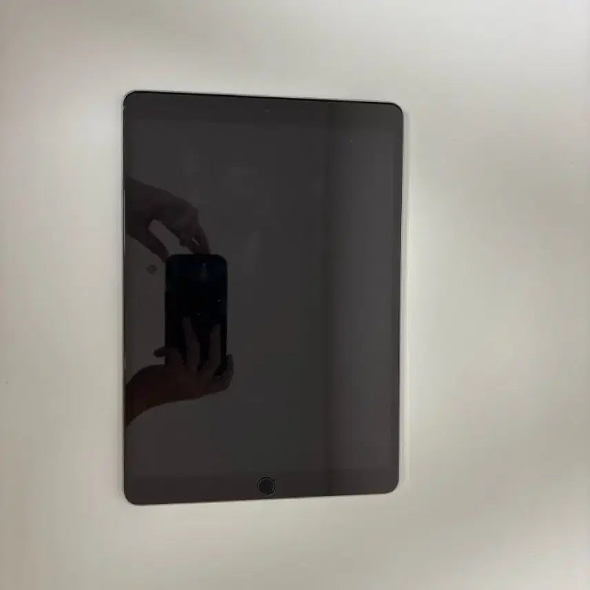 [BUNJANG] Apple iPad Pro 10.5" Space Gray / 아이패드 프로10.5