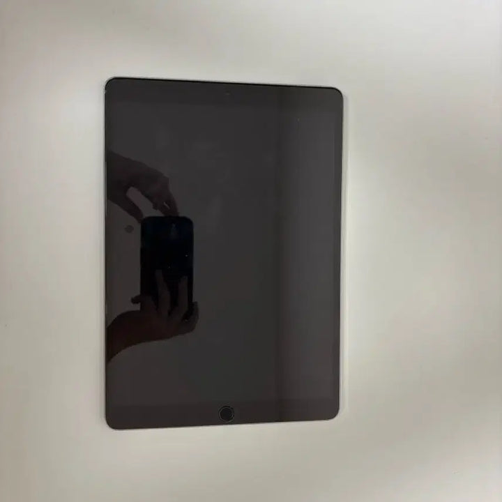 [BUNJANG] Apple iPad Pro 10.5" Space Gray / 아이패드 프로10.5