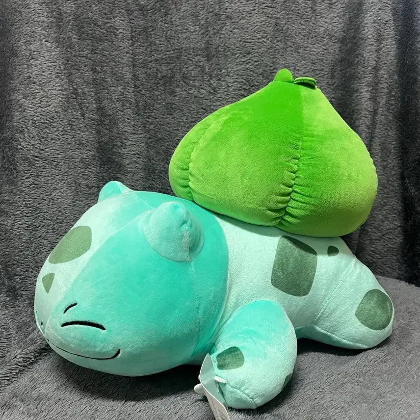 [BUNJANG] Pokemon Bulbasaur Medium Plush / 포켓몬스터 이상해씨 인형 이상해씨 중형인형