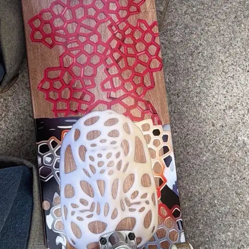 [SOLD OUT] 팔라스 스케이트보드