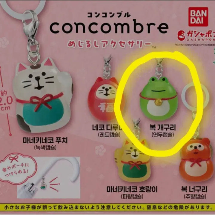 [BUNJANG] Concombre Mejirushi Frog / 콘콤브레 메지루시 복개구리