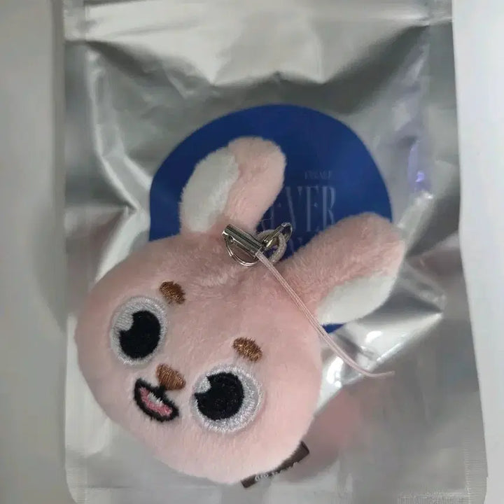 [BUNJANG] Day6 Secret Face Keyring Pil / 데이식스 시크릿 페이스키링 필