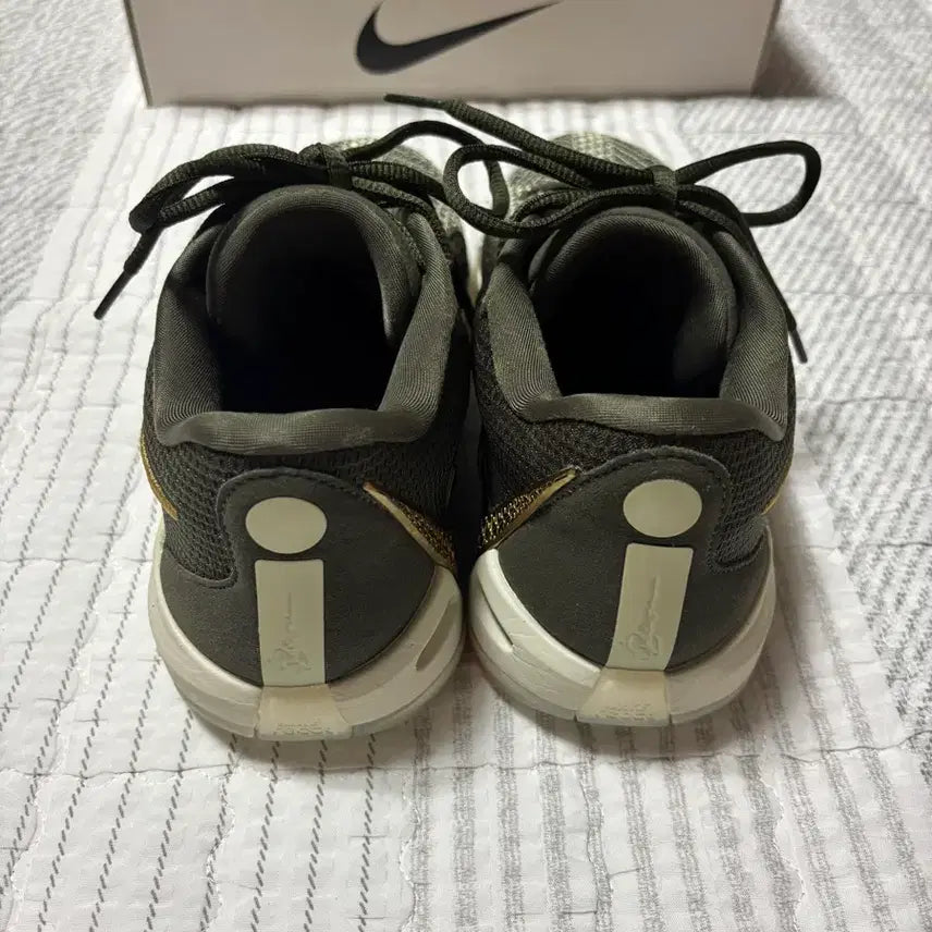 [BUNJANG] Nike Sabrina 1 Dedication Basketball Shoes Size 260 / 나이키 농구화 사브리나1 데디케이션 260