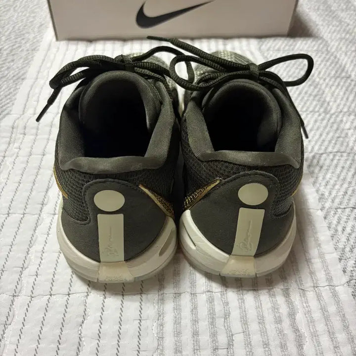 [BUNJANG] Nike Sabrina 1 Dedication Basketball Shoes Size 260 / 나이키 농구화 사브리나1 데디케이션 260