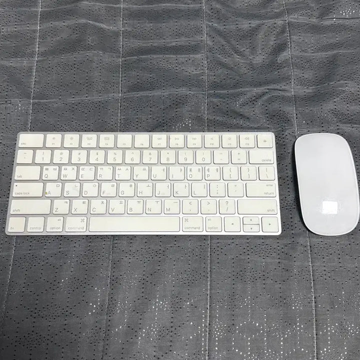 [SOLD OUT] 애플 키보드 A1644 급처