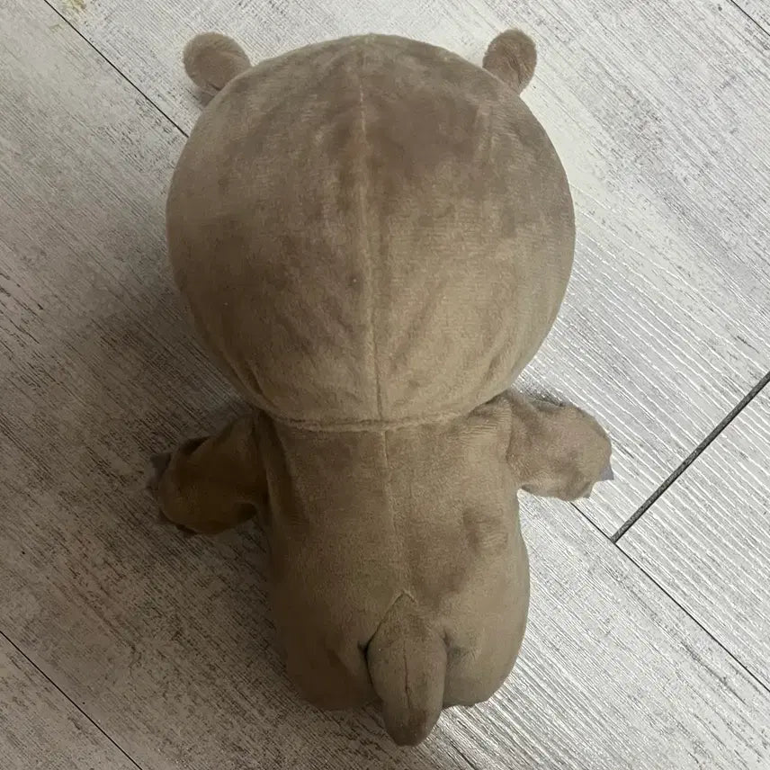 [BUNJANG] SEVENTEEN Dino Doll / 세븐틴 디노 인형