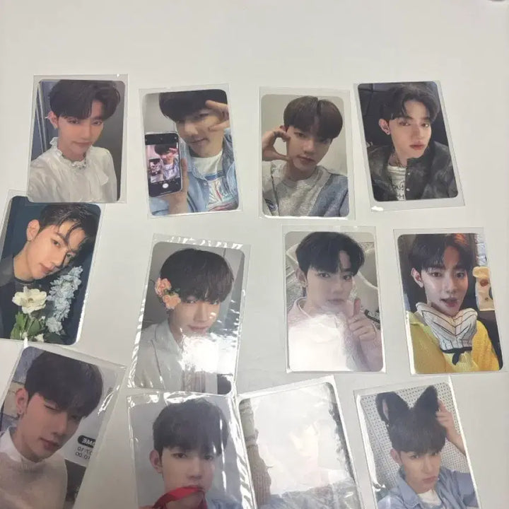 [BUNJANG] ZEROBASEONE Zhang Hao Bundle Set Photocard K-POP Cafe POB / 제베원 장하오 포카 일괄 판매 특전 케타포 앤더블