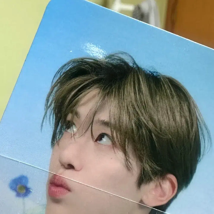 [BUNJANG] NCT WISH Songbird Japan Edition Sakuya Photocard Bundle Set POB / 엔시티위시 송버드 일본반 사쿠야 포카 특전 포함 일괄 양도