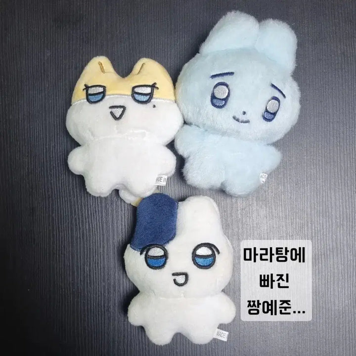 [SOLD OUT] 플레이브 짱레이브 짱예준 짱노아 예준 노아