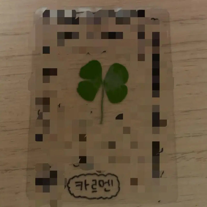 [BUNJANG] HATSUTOHATSU Carmen Four-Leaf Clover Lucky Draw Photocard / 하츠투하츠 하투하 카르멘 친필 네잎클로버 럭키카드 포카 포토카드