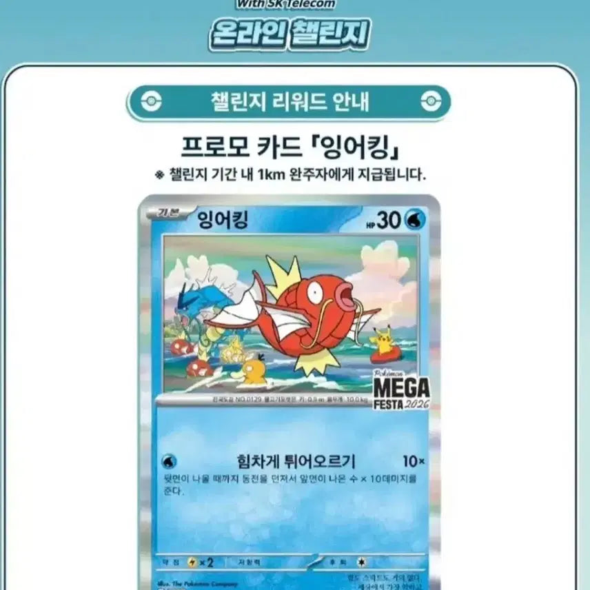 [BUNJANG] Pokemon Magikarp Promo Card / 잉어킹 프로모 카드 판매