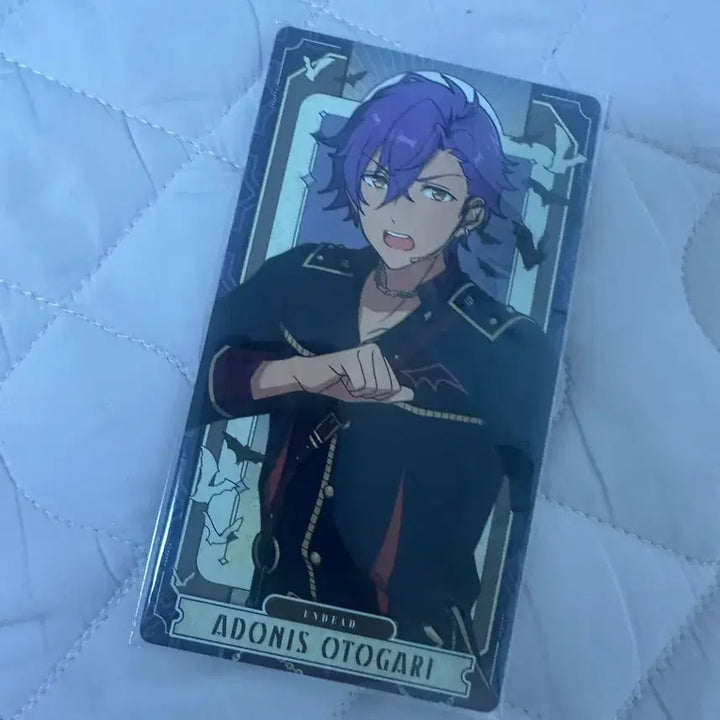 [BUNJANG] Ensemble Stars Character Card Bundle / 앙상블 스타즈 굿즈 팝니다