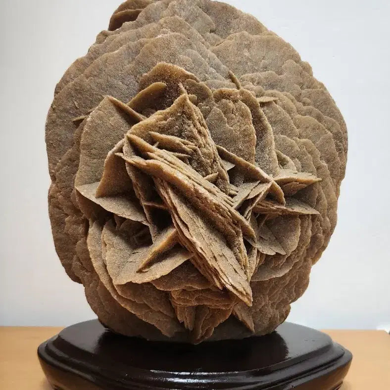 [BUNJANG] Large Desert Rose Stone (Selenite) - 6.2kg / 대형 사막 장미석 (데저트 로즈, 6.2kg) 원석 광물 수석