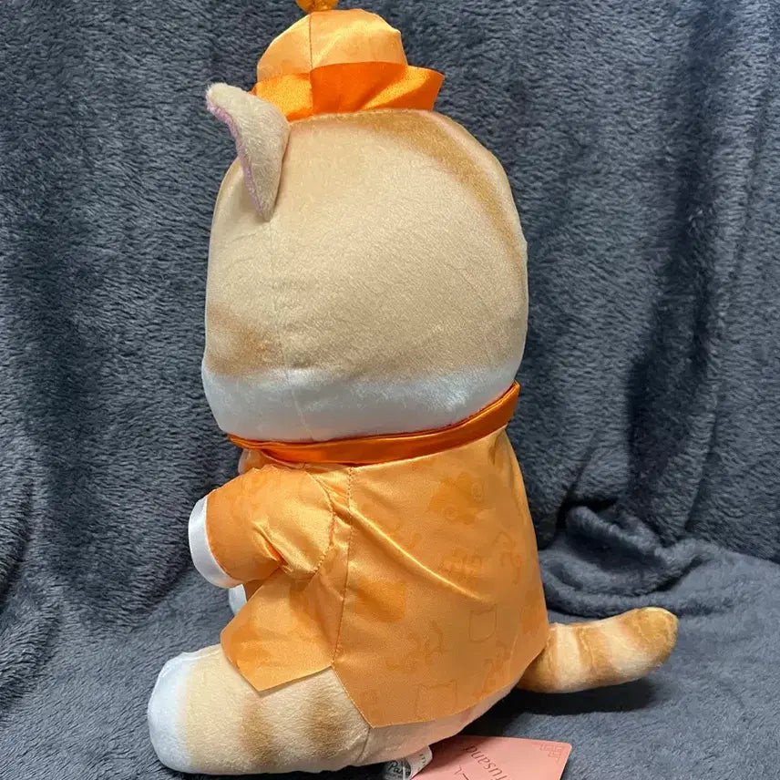 [BUNJANG] Mof Sands China Version Cat Plush / 모프샌드 인형 모프샌드 차이나버전 고양이인형