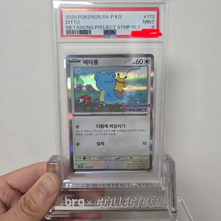 [BUNJANG] Pokemon Card Ditto PSA 9 with Stand / 포켓몬 카드 잠실메타몽 psa9, 거치대포함