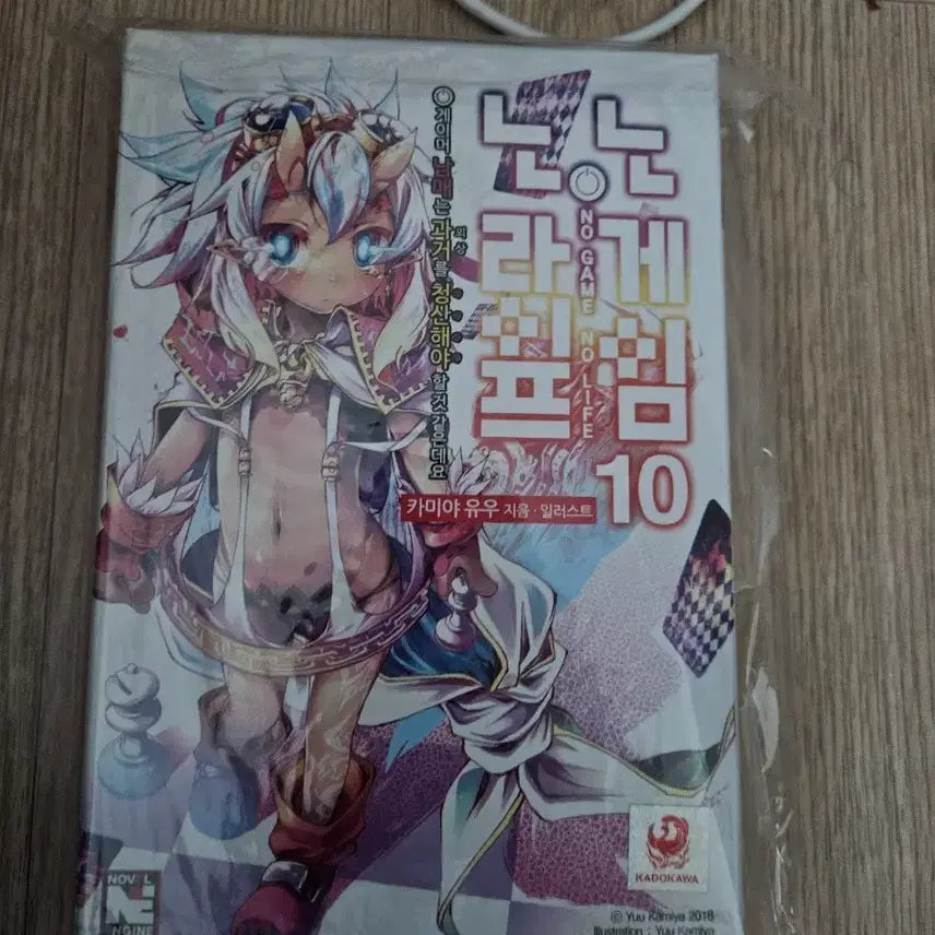 [BUNJANG] No Game No Life Limited Edition Volume 10 / 노 게임 노 라이프 10권 한정판