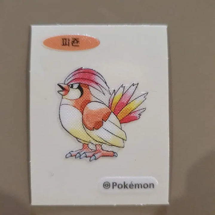 [BUNJANG] Pokemon 30th Anniversary Sticker Set (6 Types) - Featuring Raichu, Ivysaur, and more / 포켓몬 30주년 기념 띠부씰 6종 라이츄, 이상해씨 등