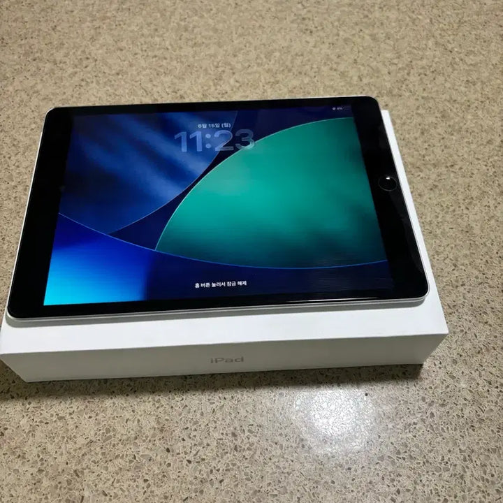 [BUNJANG] Apple iPad 9th Gen 256GB Cellular Silver / 아이패드 9세대 256GB 셀룰러 (실버)