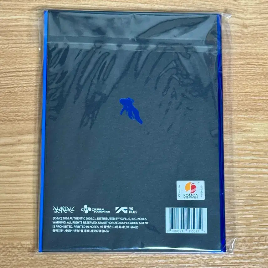 [BUNJANG] High Summer Strange Flight Album (Unsealed) / 한로로 이상비행 앨범