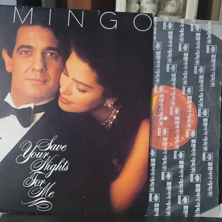 [BUNJANG] Plácido Domingo LP Bundle / Placido Domingo 도밍고_LP2종 일괄