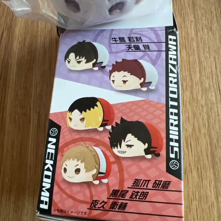 [BUNJANG] Haikyuu!! Nekoma Yaku Morisuke Tsumu Tsumu Plush / 네코마 하이큐 쯔무쯔무 야쿠 모리스케