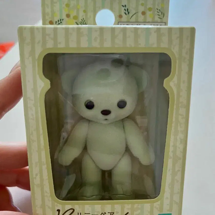 [BUNJANG] Honey Bear Mimosa Sealed Plush Toy / 허니베어 미모사 미개봉 곰인형