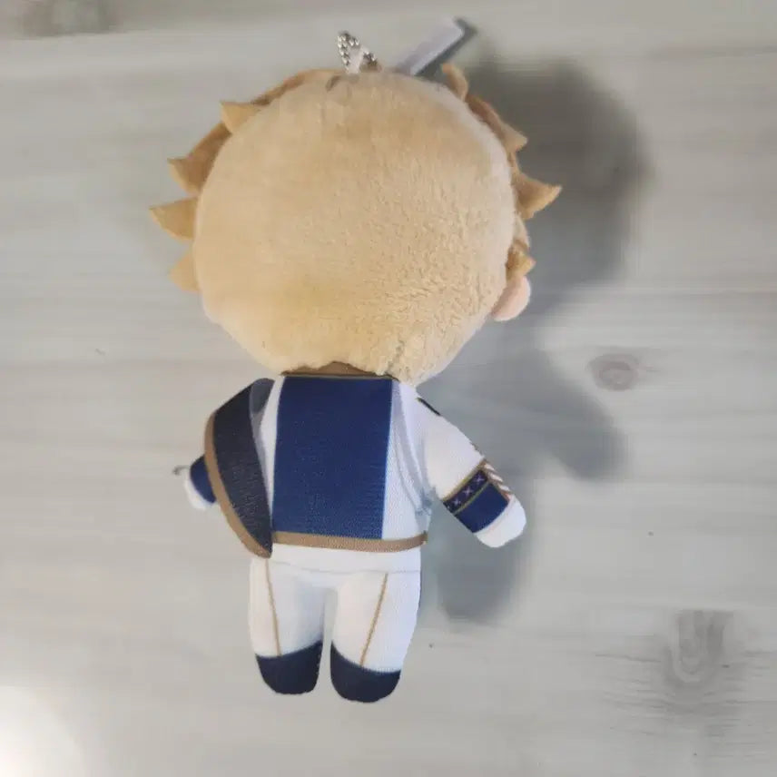 [BUNJANG] Ensemble Stars Narukami Arashi AGF Plush / 앙스타 나루카미 아라시 agf 누이 나이츠앨범4집누이구루미