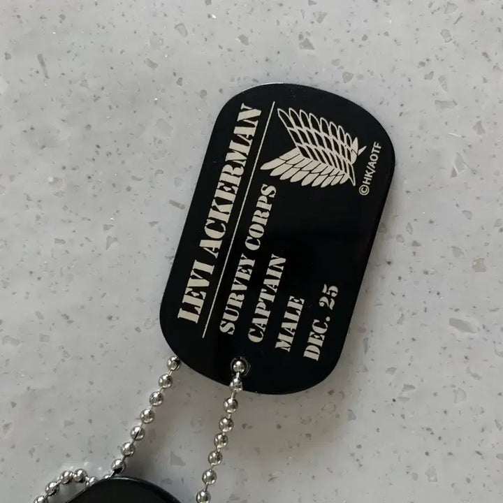 [BUNJANG] KENBI Attack on Titan Levi Eren Official Dog Tag Necklace / 켄비 KENBI 진격의 거인 리바이 에렌 공식 군번줄 목걸이