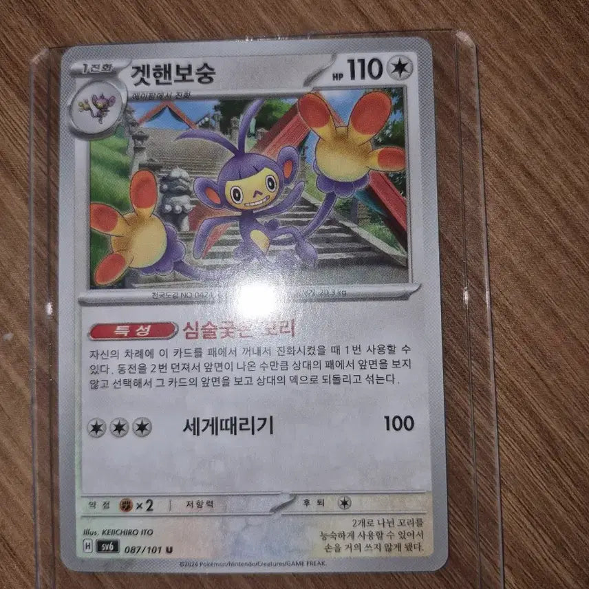 [SOLD OUT] 포켓몬카드/겟핸보숭