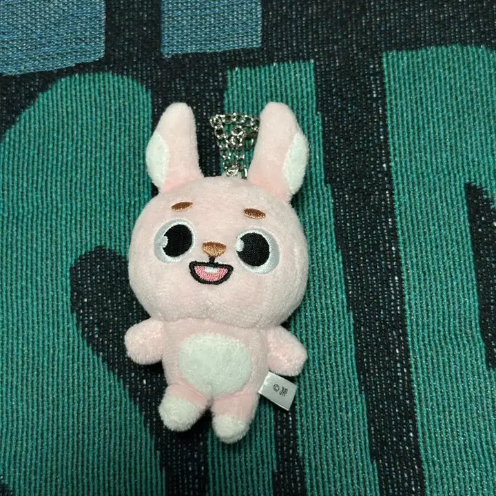 [BUNJANG] DAY6 Yokohama MD Bag Charm / 데이식스 일본 엠디 요코하마 백참 키링 필끼 DAY6 bagcharm