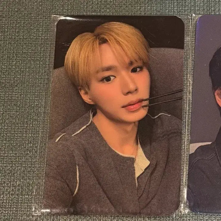 [BUNJANG] ALPHADRIVEONE Junseo Photocard / 알디원 알파드라이브원 하이디라오 준서 포카