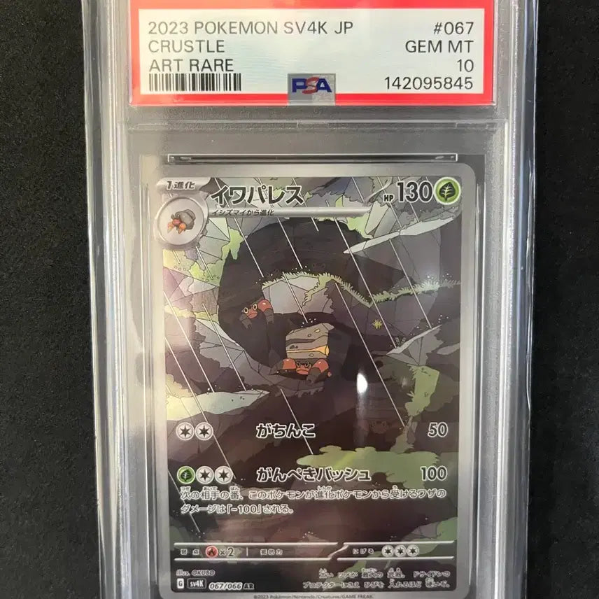 [SOLD OUT] 암팰리스 AR 일판 PSA10