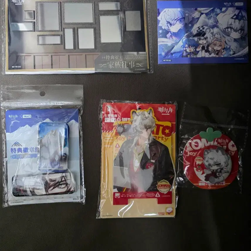 [BUNJANG] Arknights SilverAsh Merchandise Bundle / 명일방주 실버애쉬 은재 굿즈