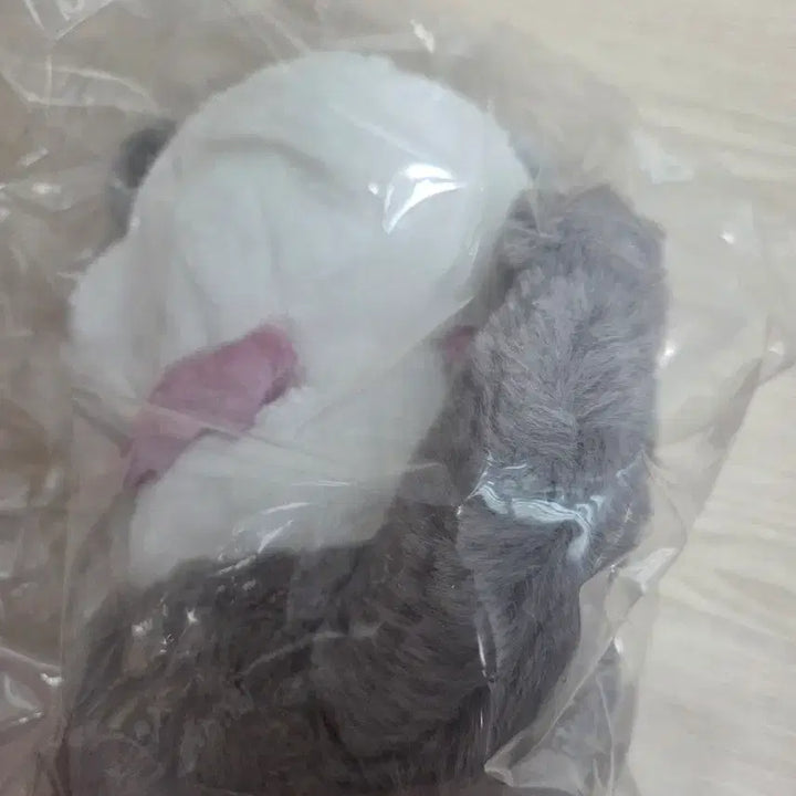 [BUNJANG] Chiikawa Chibi Devil Anoko Plush / 치이카와 악마 아노코 누이  아노코 매지컬
