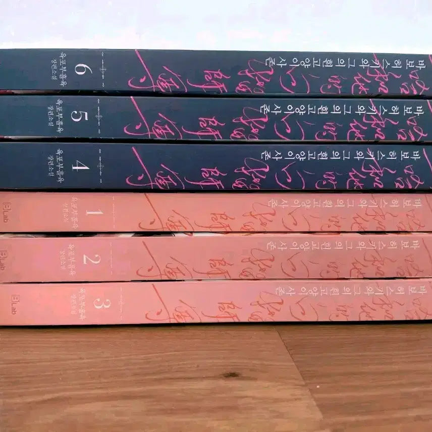 [SOLD OUT] 이합화타적백묘사존 단행본 얼하 1~6권 일괄