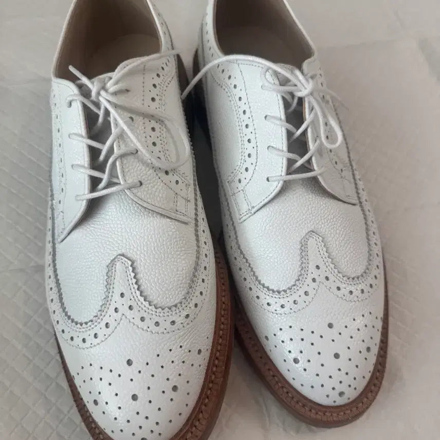 [BUNJANG] Thom Browne Brogue Shoes Size 7.5 UK / 8.5 US / 톰브라운 브로그 슈즈 uk 7.5 us 8.5