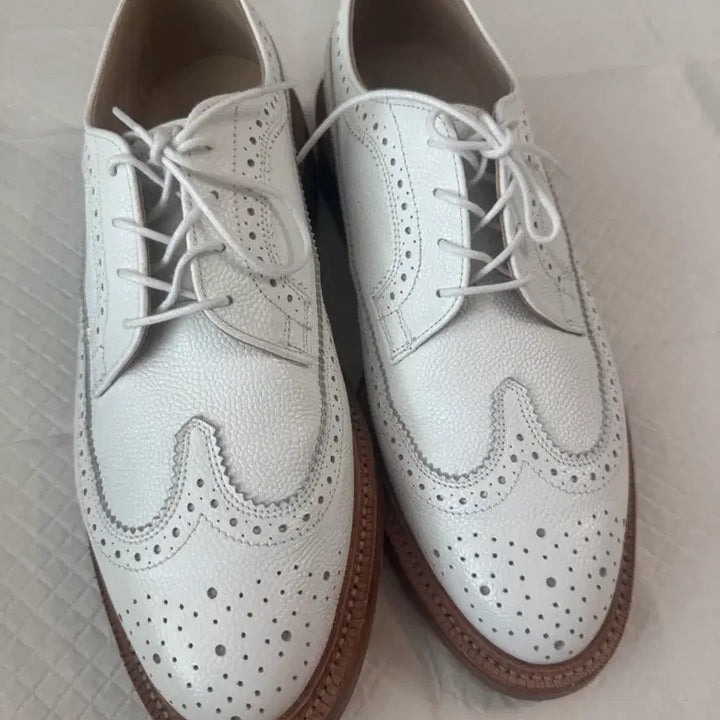 [BUNJANG] Thom Browne Brogue Shoes Size 7.5 UK / 8.5 US / 톰브라운 브로그 슈즈 uk 7.5 us 8.5