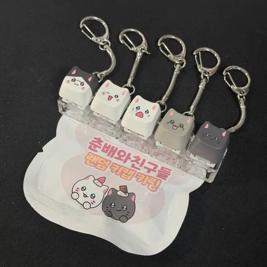 [BUNJANG] Nyahangnamja x Paik Coffee Collaboration Chunbae Keycap Keychain 5-Piece Full Set / [냐한남자] 빽다방 콜라보 춘배 키캡 키링 5종 풀셋