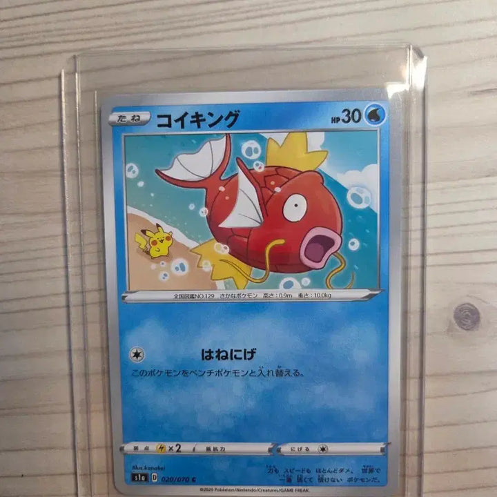 [BUNJANG] Kanahei Magikarp Limited Edition Figurine / 카나헤이 잉어킹 일판