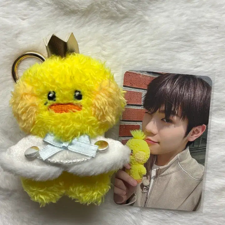[BUNJANG] ZB1 Sung Hanbin Photocard / 제베원 제로베이스원 제로니 태니니 김태래