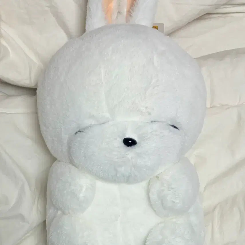 [BUNJANG] Marshmallow Rabbit Medium Plush Doll / 마시마로 토끼 중형인형