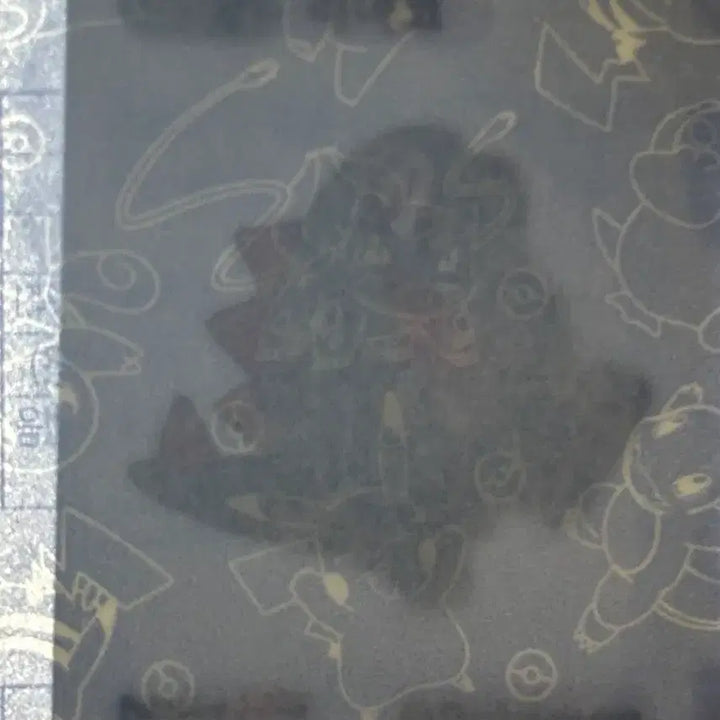 [BUNJANG] Pokemon Sticky Seal - 
