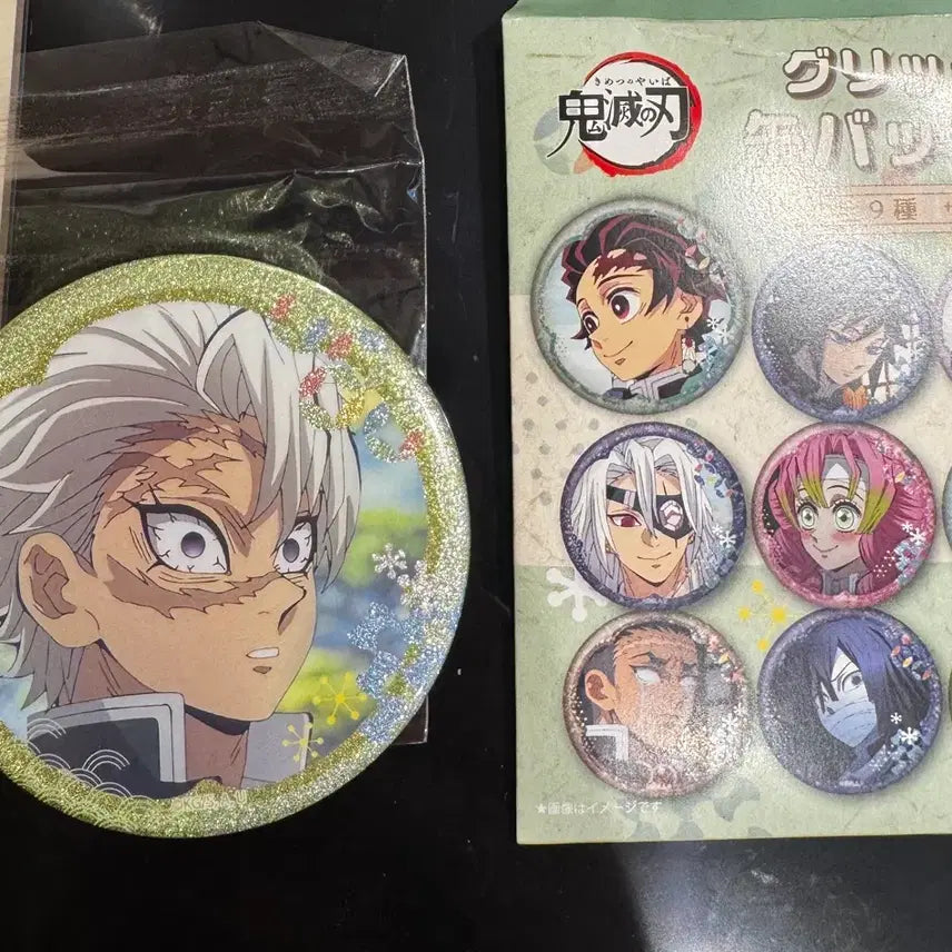 [BUNJANG] Demon Slayer Glitter Badge Vol. 2 Sanemi / 귀멸의 칼날 글리터 뱃지 Vol.2 (사네미)