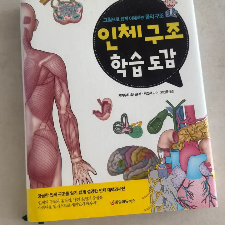 [BUNJANG] Anatomy Learning Illustrated Guide: Easy Understanding of the Human Body&