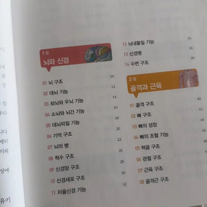 [BUNJANG] Anatomy Learning Illustrated Guide: Easy Understanding of the Human Body&